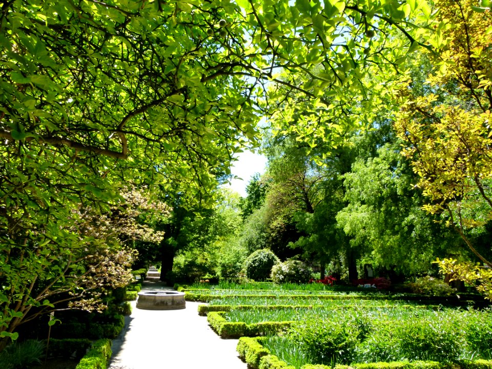 Vue générale du Jardin botanique Madrid 2