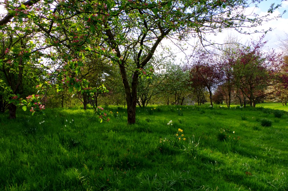 Vue de Kew Gardens au printemps