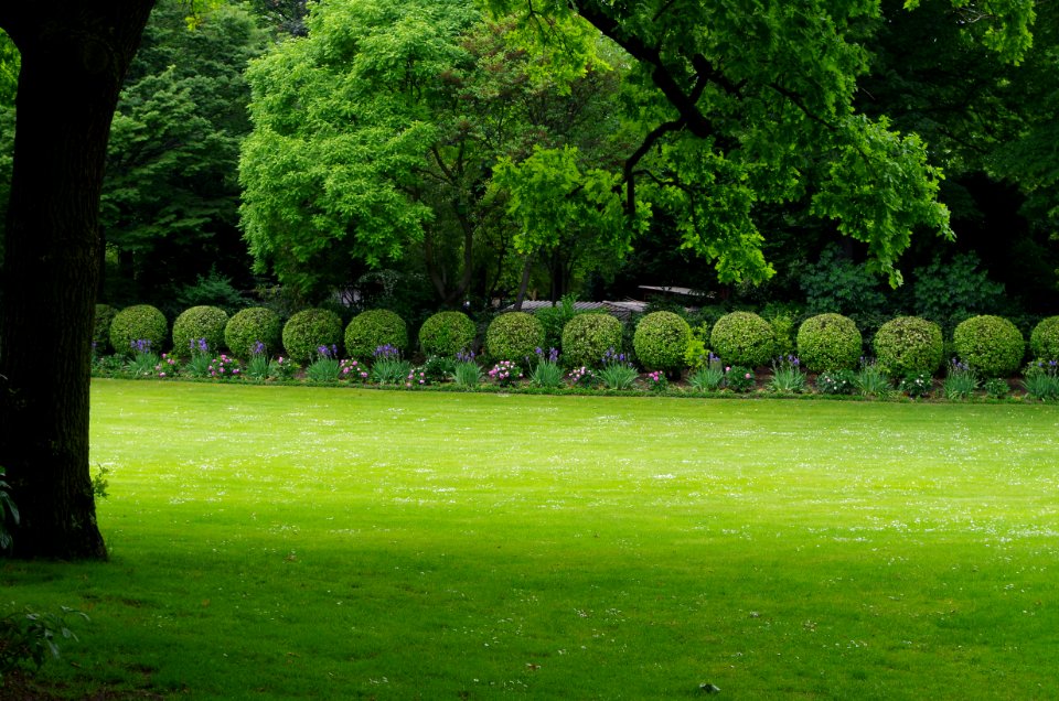Vue du Jardin du Luxembourg