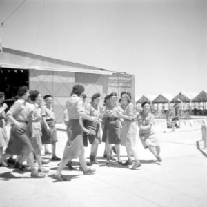 Vrouwen van het Vrouwen Hulp Korps, Bestanddeelnr 255-6870