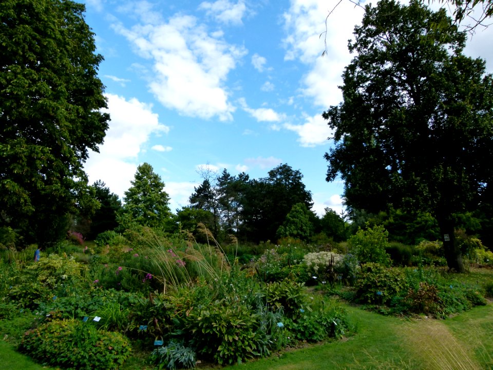 Vue du Parc Floral de Vincennes