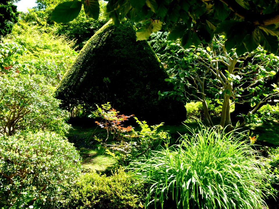 Vue du Jardin Albert Kahn 4