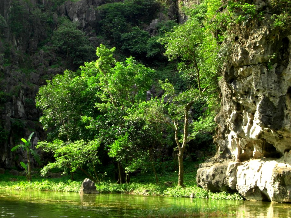 Vue de la rivière baie d'Halong terrestre