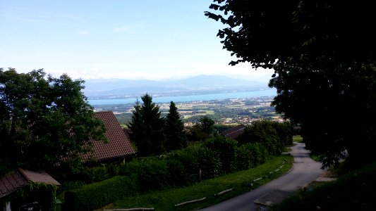 Vue du Lac Léman depuis Arzier 01