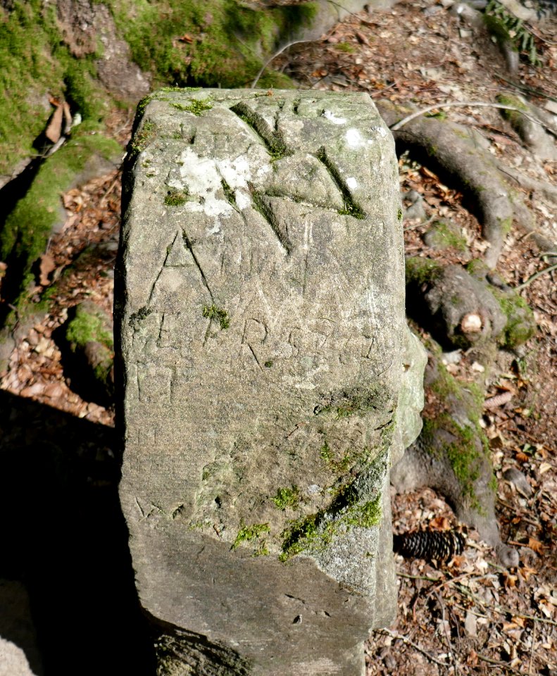 Wünnenberg - Totenkopfstein - Draufsicht - 2