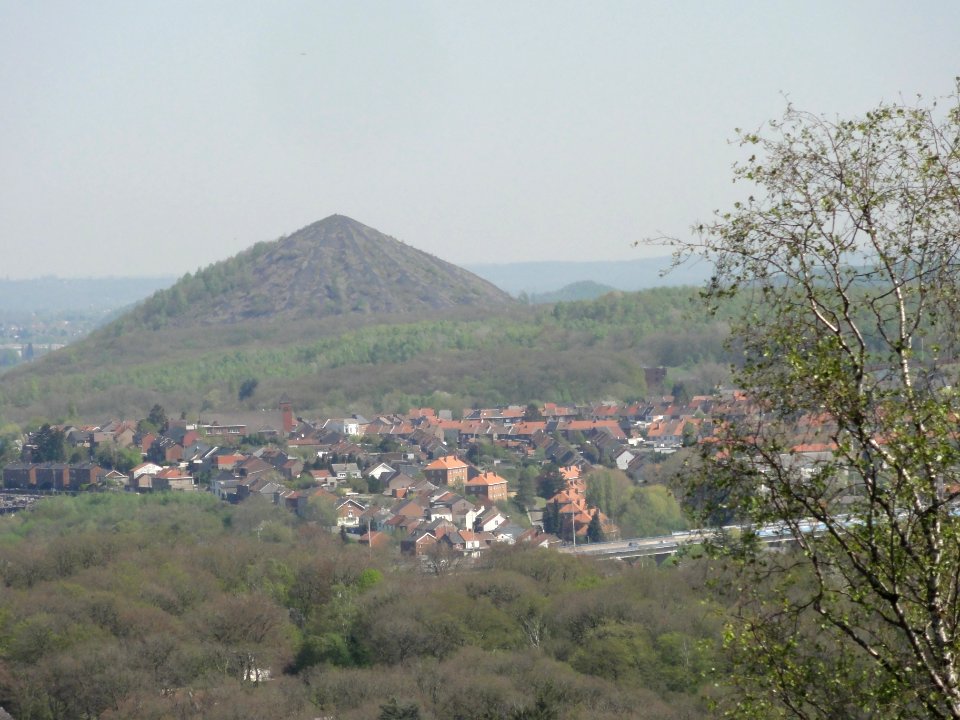 Vue depuis le terril du site du Bois du Cazier (03)