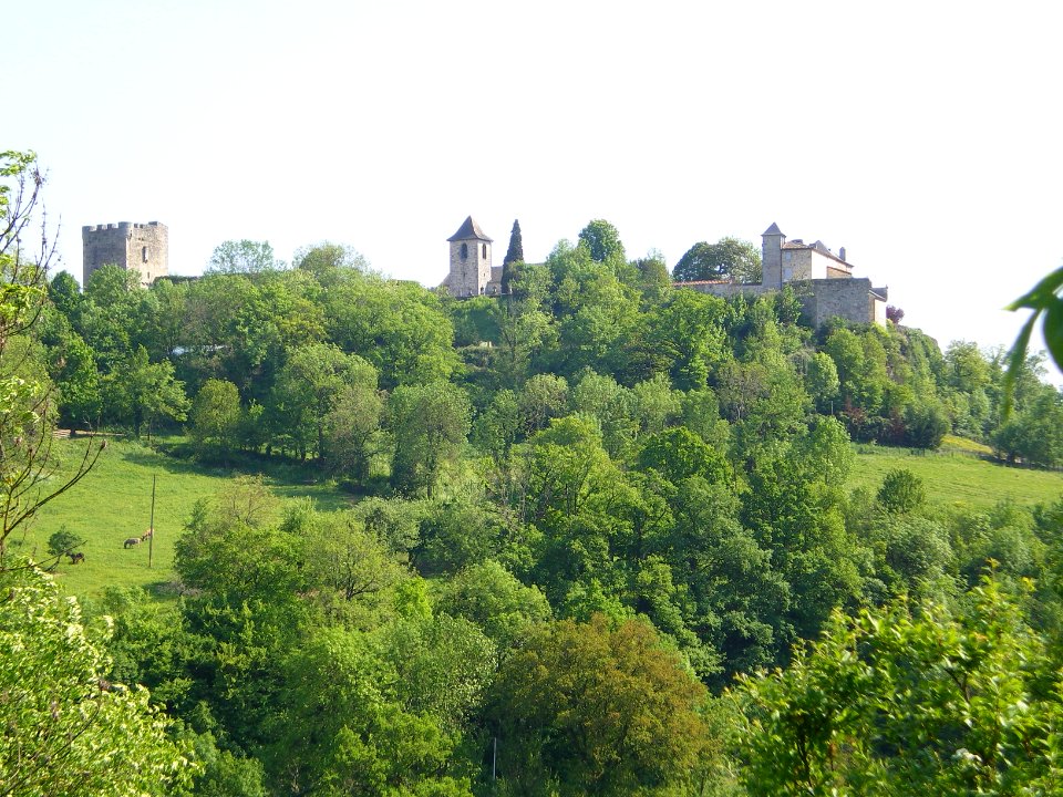 Vue de Capdenac-le-Haut