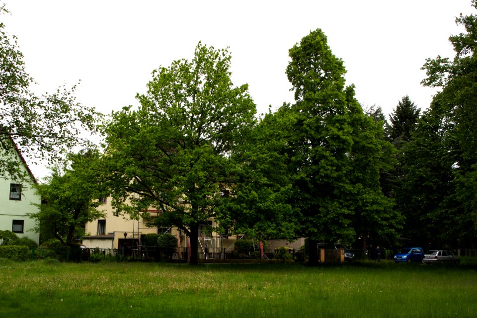 Wünsdorfer Straße Ecke Grenzweg 20140509 47