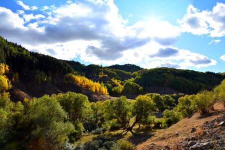 Landscapes nature sky grass