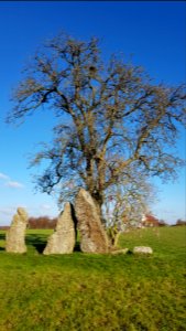 Wéris-Menhirs d'Oppagne (7)
