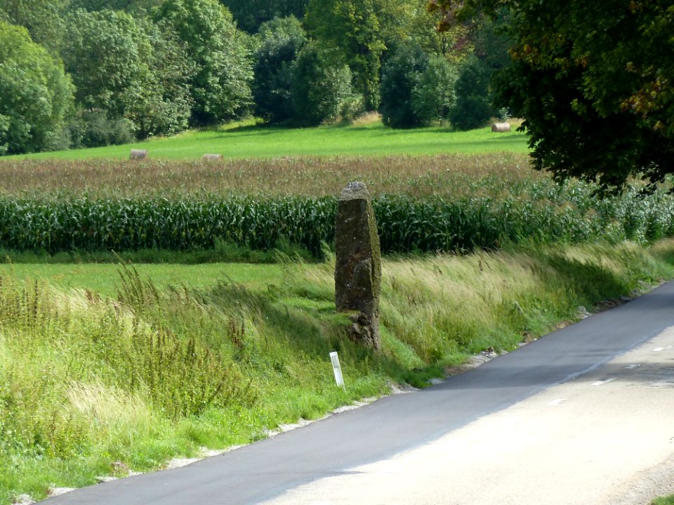 Wéris-Menhir Danthine (2)