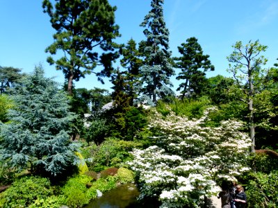 Vue d'ensemble du jardin Albert Kahn