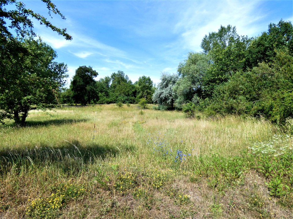 Wörmlitz Pfingstanger