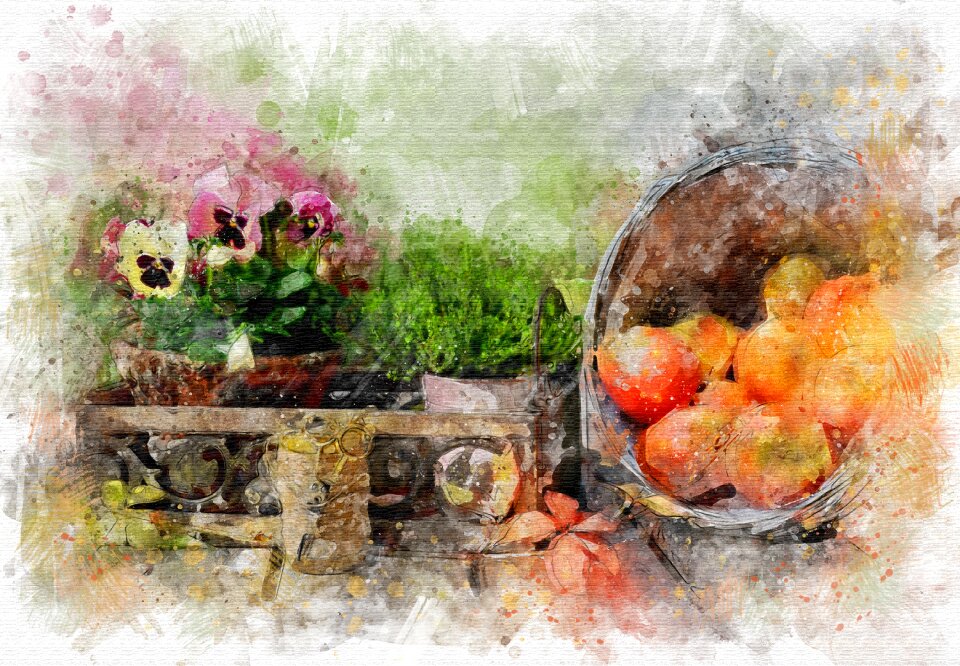 Still life fruit summer