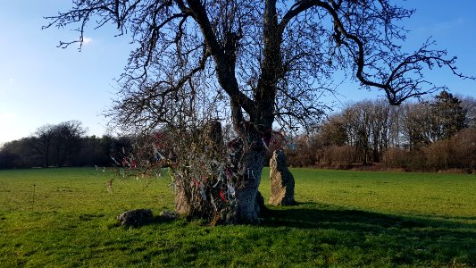 Wéris-Menhirs d'Oppagne (4)