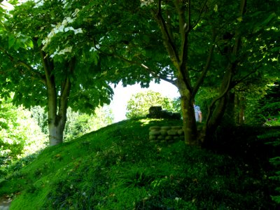 Vue d'ensemble du jardin Albert Kahn 3