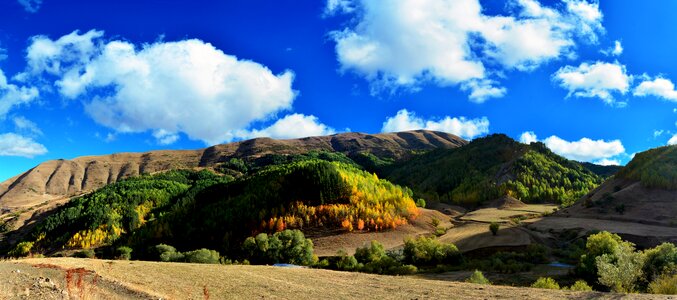 Landscapes nature sky grass