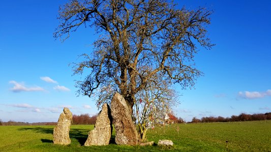 Wéris-Menhirs d'Oppagne (6)