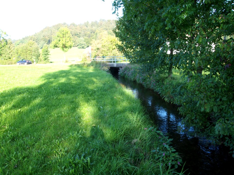 Wörthbach Romatsried (02)