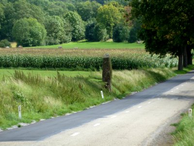 Wéris-Menhir Danthine (1)