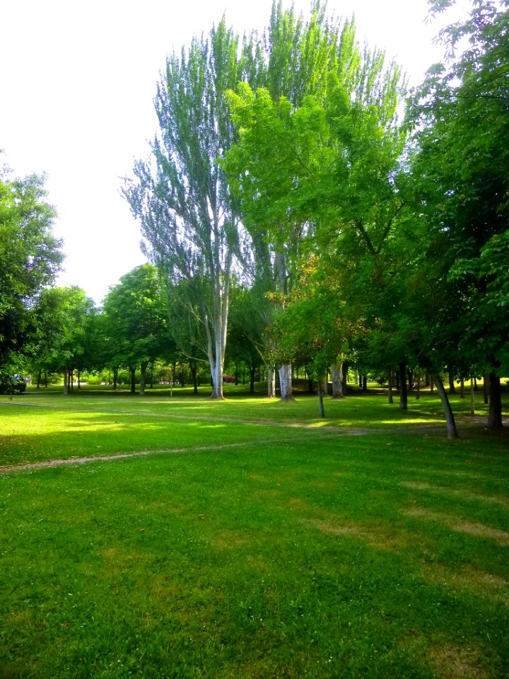 Vitoria - Parque de San Martín 13