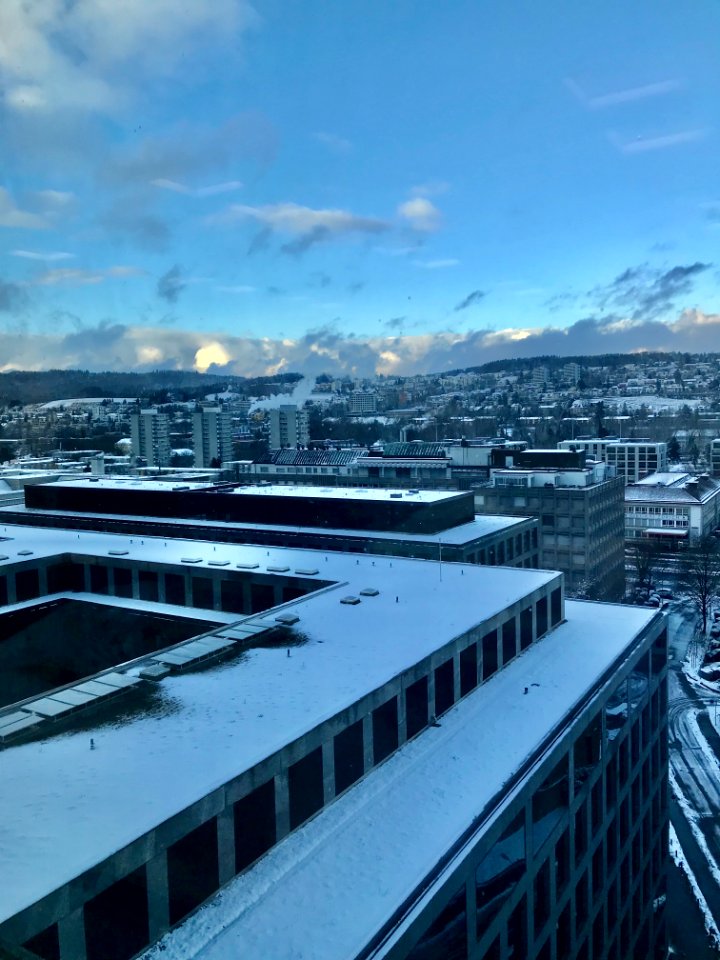 Vulkanstrasse 106 IBM Schweiz (Ank Kumar Equatex) Infosys Limited 03