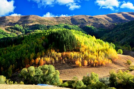 Landscapes nature sky grass