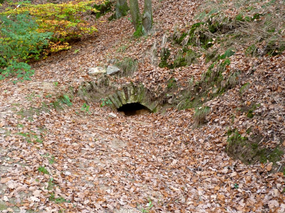 Vussem-Aqueduct Mechernich (3)