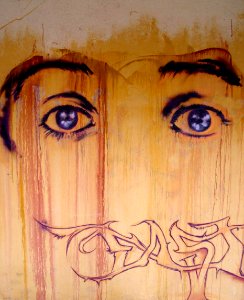 Vitoria - Graffiti & Murals 0097