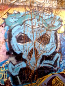 Vitoria - Graffiti & Murals 0950 11