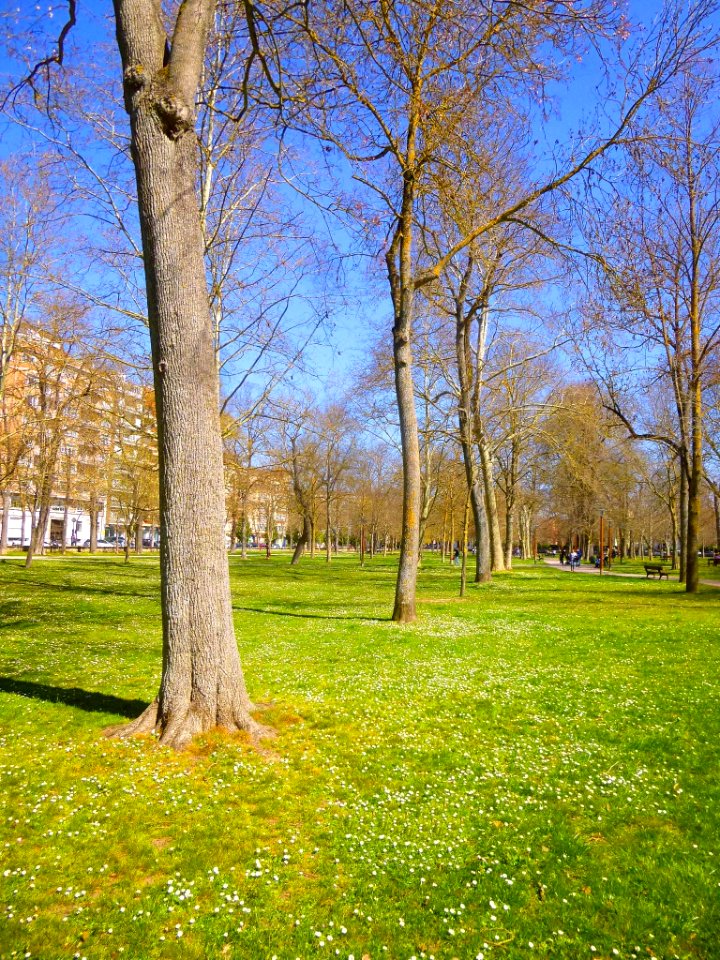 Vitoria - El Prado (primavera de 2019) 05