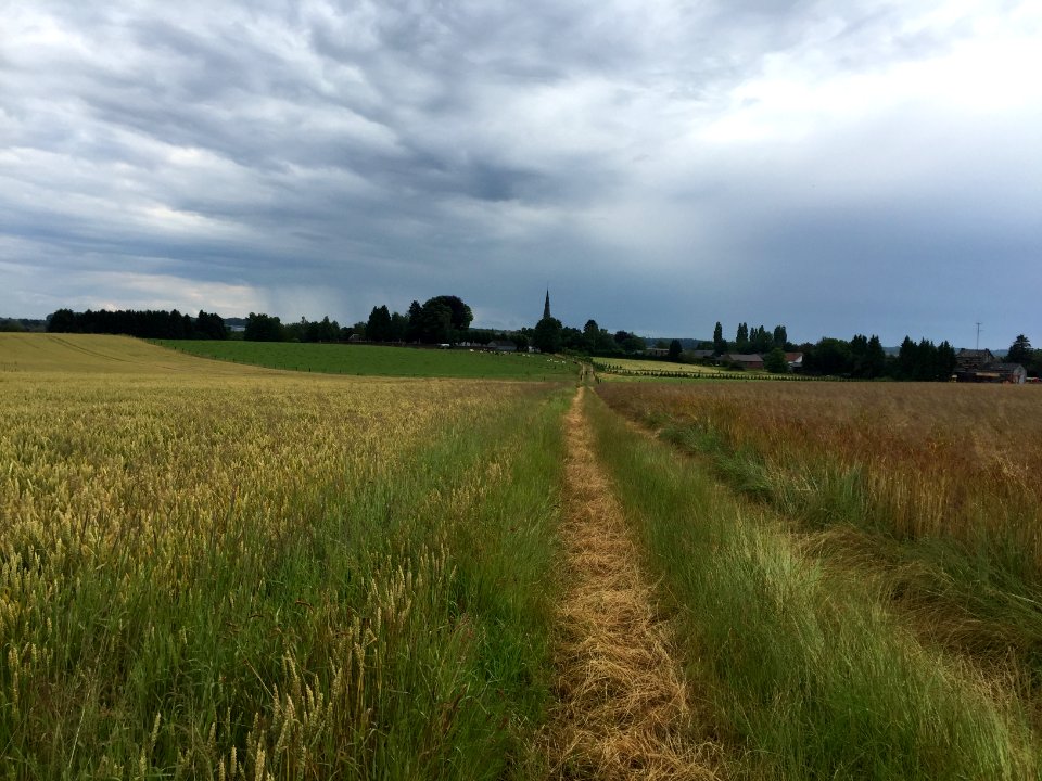 Vue sur Nalinnes 2