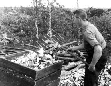 Vullen van de bakken, Bestanddeelnr 194-0727