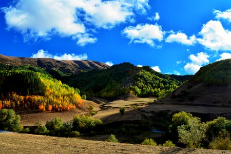 Landscapes nature sky grass