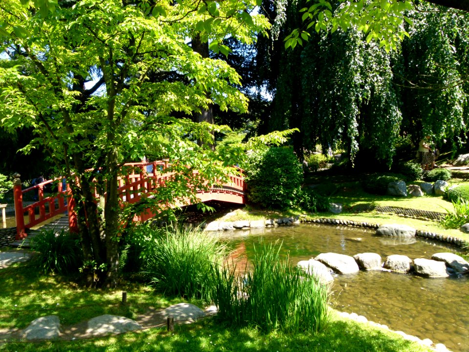Vue sur le pont japonais jardin Albert Kahn