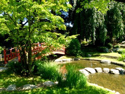 Vue sur le pont japonais jardin Albert Kahn