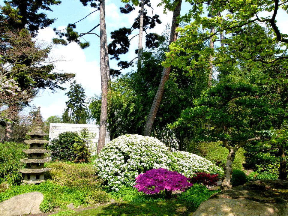 Vue sur le jardin japonais Albert Kahn 3