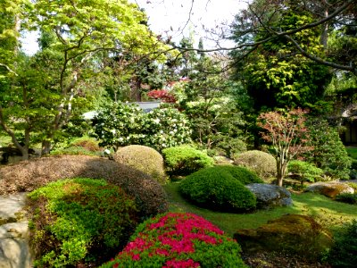 Vue sur le jardin japonais Albert Kahn