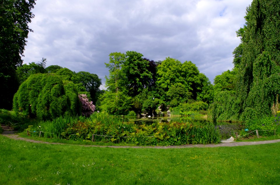 Vue sur l'étang au jardins de Bagatelle