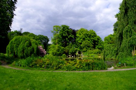 Vue sur l'étang au jardins de Bagatelle