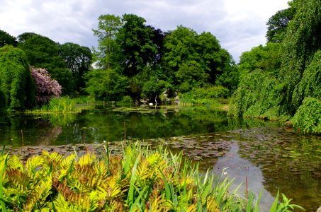 Vue sur l'étang au jardins de Bagatelle 2