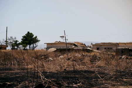 Views of the field fires in Sinjar in summer of 2019, and their aftermath 06