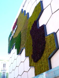 Valladolid - El Corte Inglés de la Calle Constitución 4