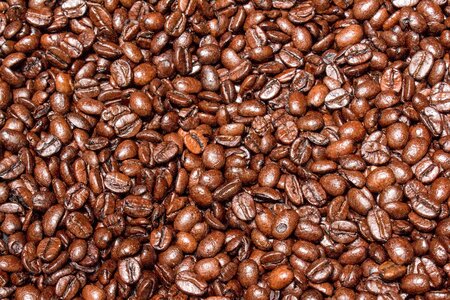 Espresso bean drink