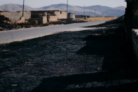 Views of the Ezidi village Hardan in Sinjar District, burned in 2019 in the summer fires 24