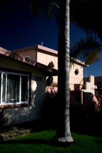 Views around the Pico neighborhood of Santa Monica 17