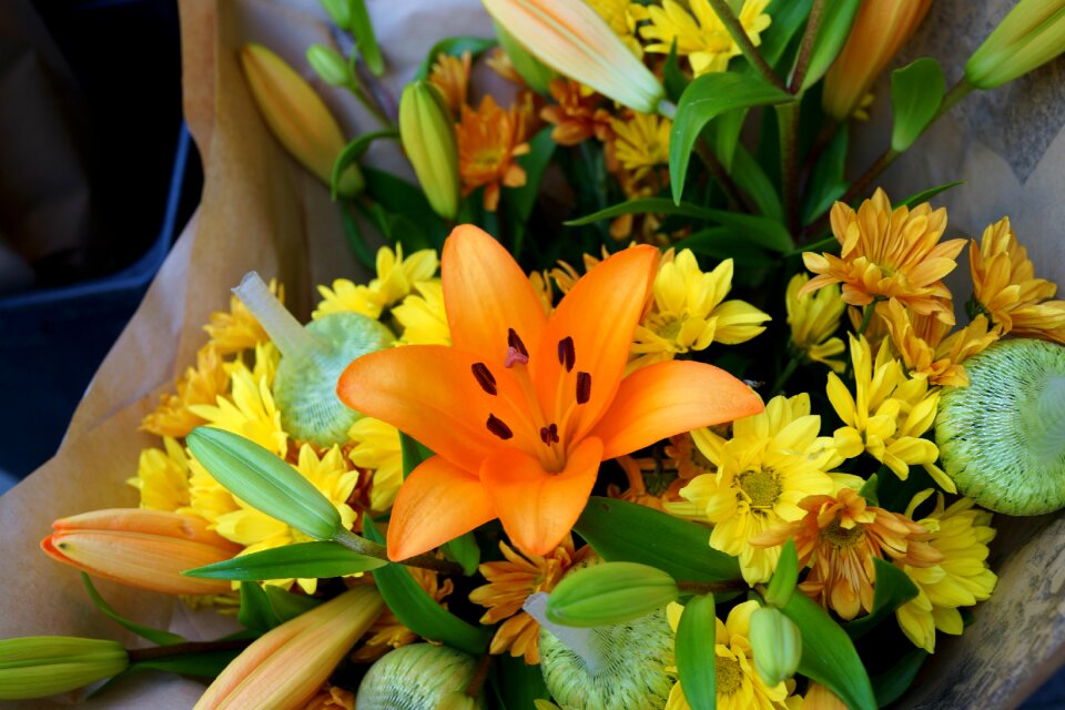 Flora decoration romantic