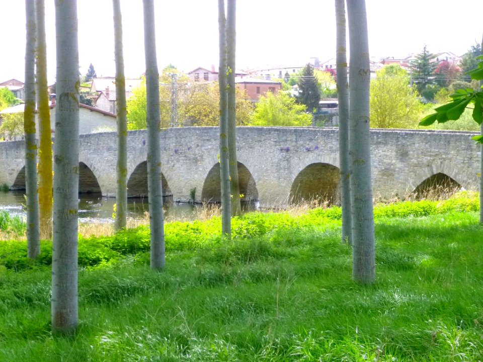 Víllodas - Puente 11
