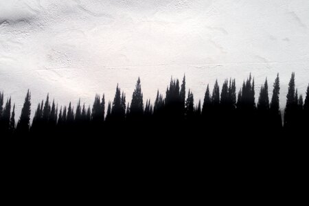 Silhouette snow winter