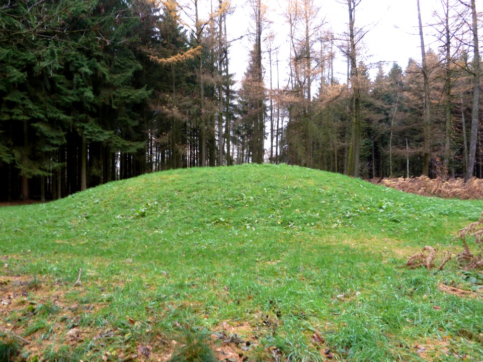 Vaals-Individuele grafheuvel Vijlenerbos (3)